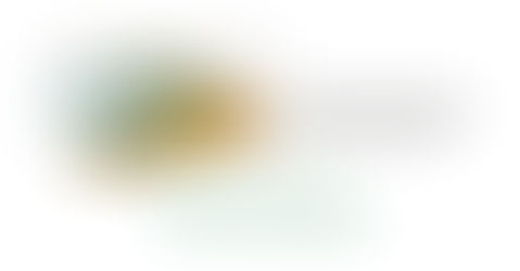 Virtual Credit Card (VCC) For PayPal Account
