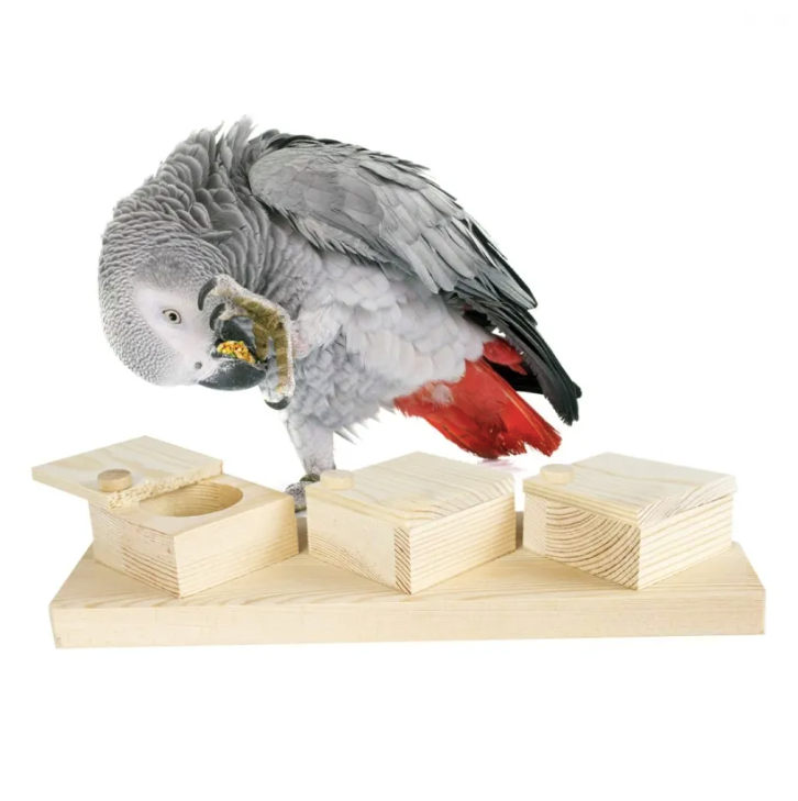 Back Zoo Nature Braintrainer Cups