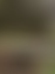 Pourquoi les chrétiens ne sont-ils pas heureux?