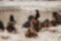 2019-03 Test 3133.jpg