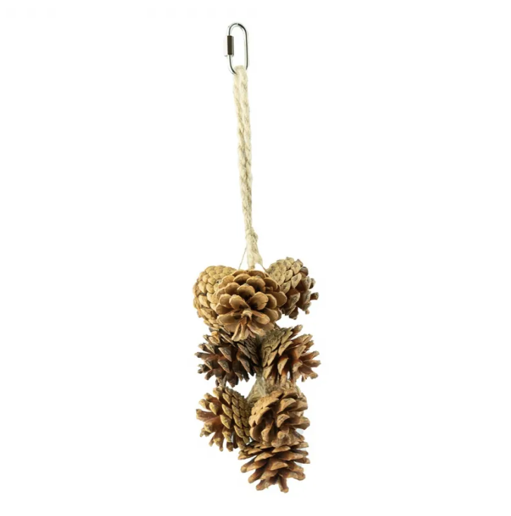 Back Zoo Nature Pine Cone Garland