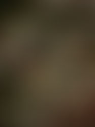 La Bible : « toute qu'un livre »