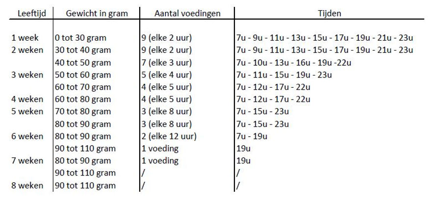 Schema voeding
