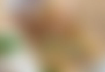 Literacy Begins with Play: How Blocks, Loose Parts & Storytelling Grow Young Readers and Thinkers