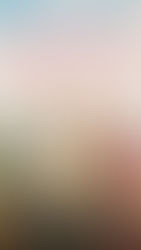 The Ballad of Wallis Island (2025) - 10/10