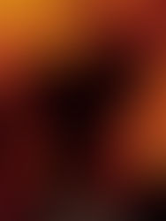 The Beach (2000) - 5/10