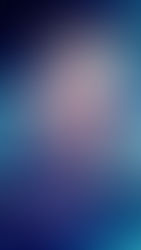 Robin’s Wish (2020) - 8/10