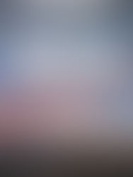 Nomadland (2020) - 8/10