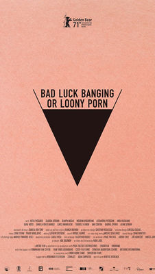 Bad Luck Banging or Loony Porn (2021) - 2/10