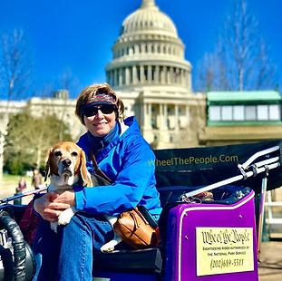 A guest and her dog enjoy a pedicab tour past the U.S. Capitol building.