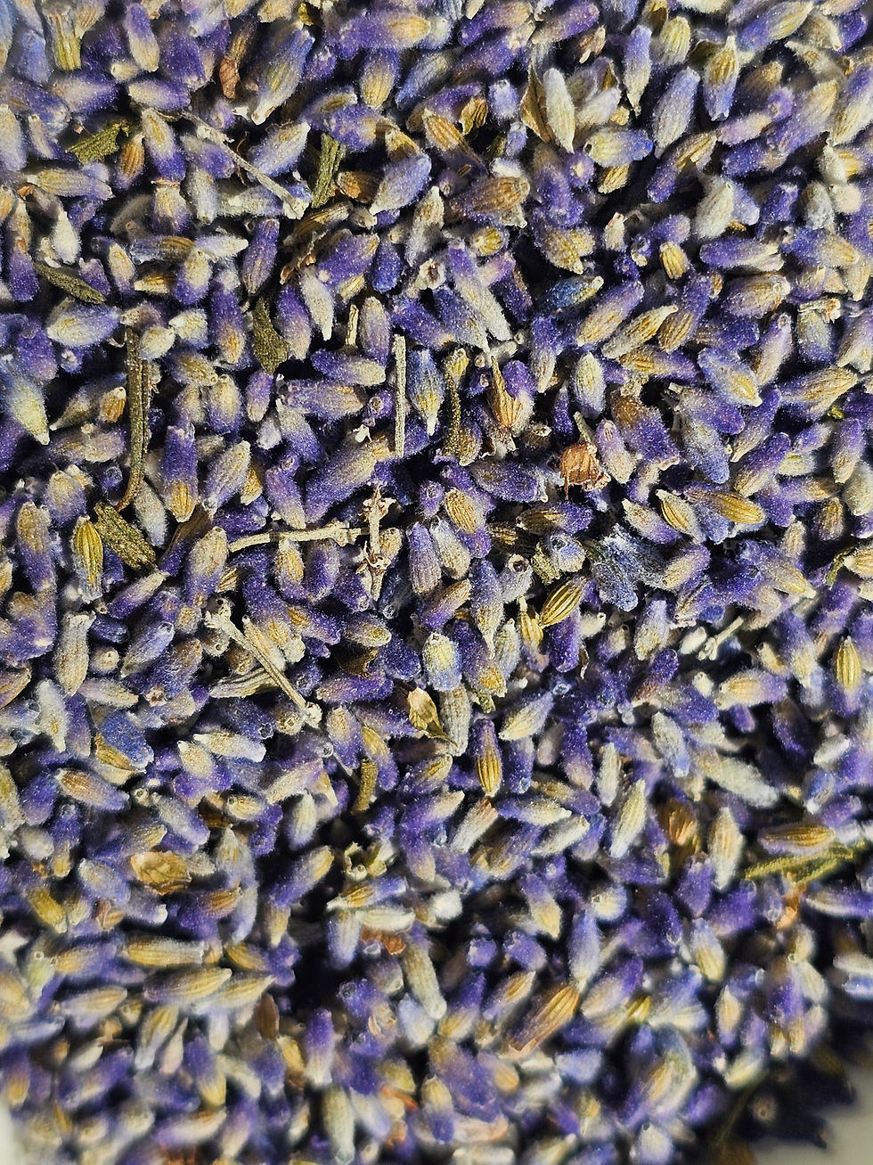 Thumbnail: Culinary Lavender Bud