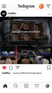 Instagram Collection Ad 1