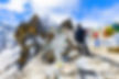 Custom alt text