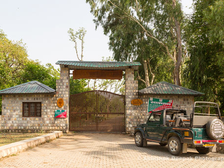 Short Guide to Rajaji National Park