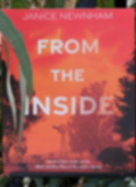 Cover of the book, "From The Inside" featuring silhouettes of trees and windmill on an orange-hued background. 