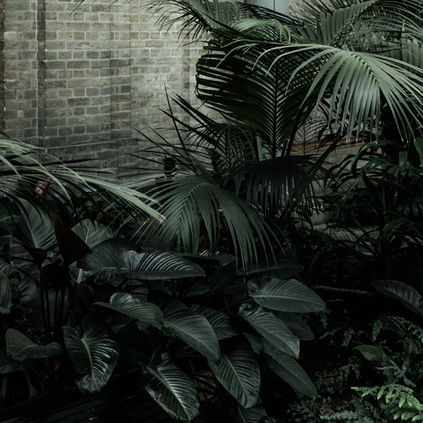 Glyptoteket, Piazza Dante • Copenhaghen