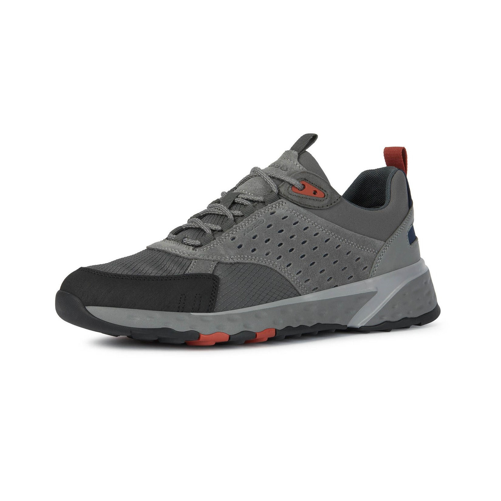 Geox Herren Sneaker Sterrato in grey (Grau)