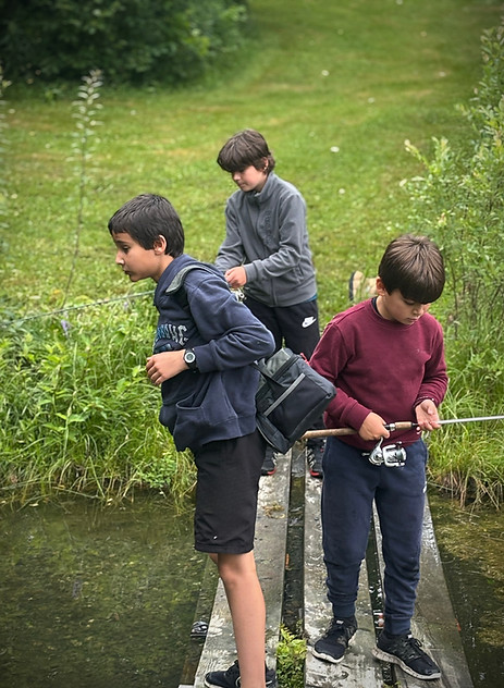 66bd0a9a-d86f-478f-8557-e5e4c4dd1d04_edi