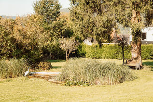 Petit étang dans le jardin du gîte ENDIGO