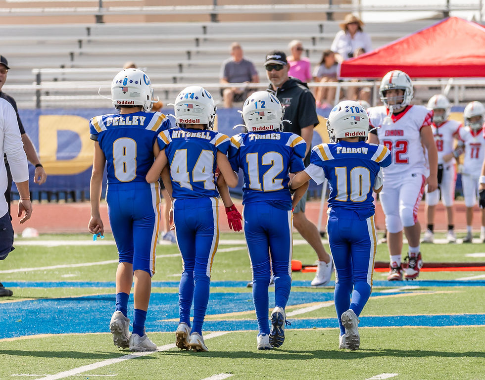 Piedmont Wildcat Youth Football Team