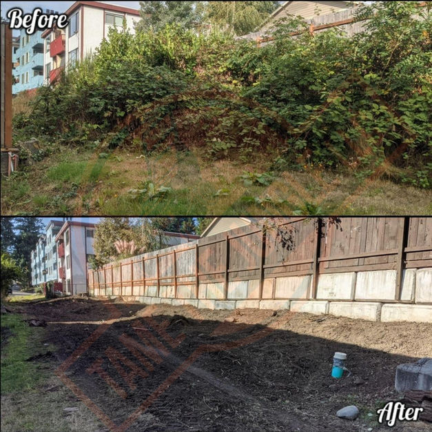 removal.jpg
