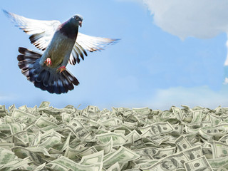 PAYOUTS