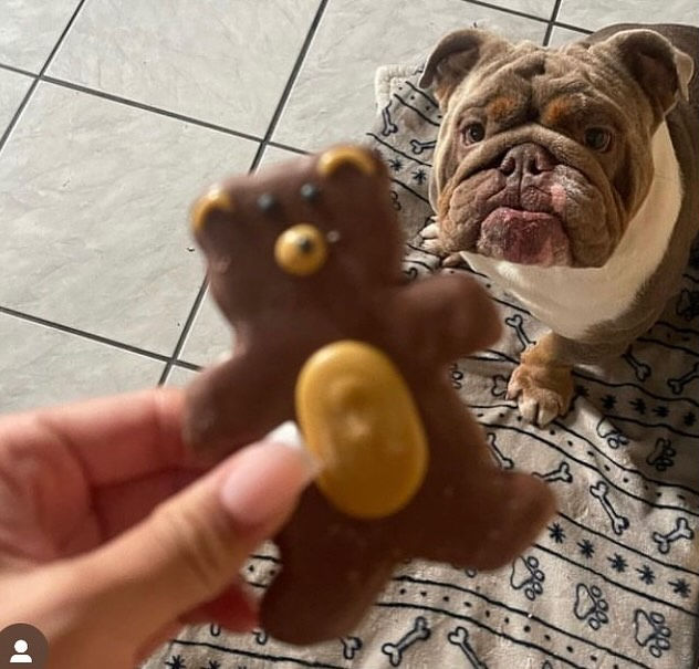 The BARKERY- Me Want Cookie!