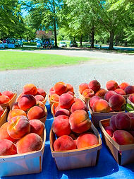 Baskets of peaches at a farm stand