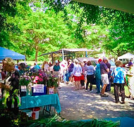 Farmer's Market in NC