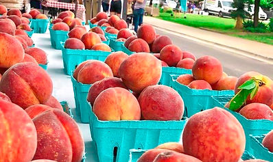 Kalawi Farm peaches in baskets ready for sale at a farmer's market