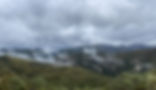IMG_9381.jpeg