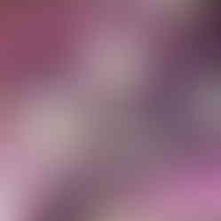 Unicorn Pass the Parcel party games party entertainment Wellington New Zealand