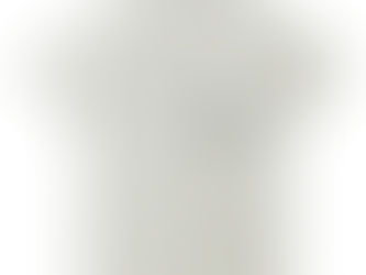 【きょうりゅう】が1枚購入されました。有難うございます!