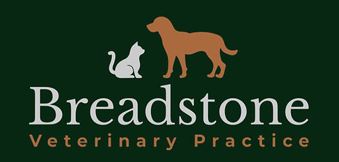 Vets in Breadstone