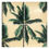 Miniatura: Linha Tropika - Palm