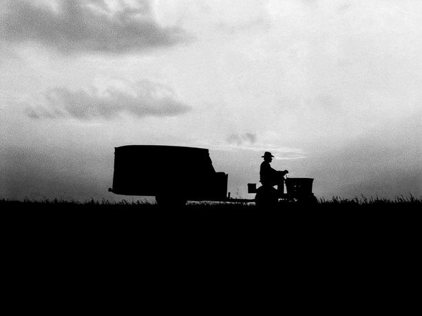 The Pilgrim on the Riding Mower: Lynch’s The Straight Story