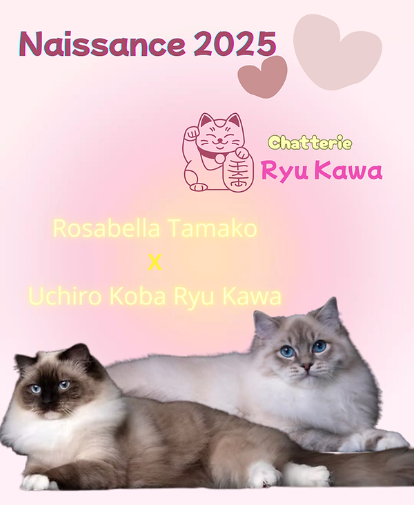 Rosabella Tamako x Uchiro Koba Ryu Kawa.png.png