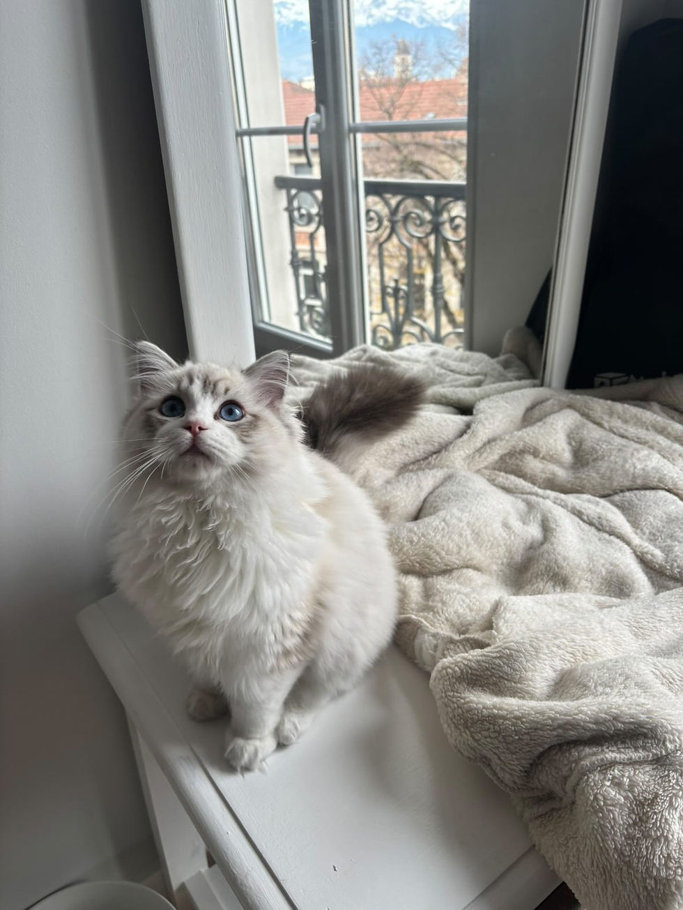 Aoru dans sa famille