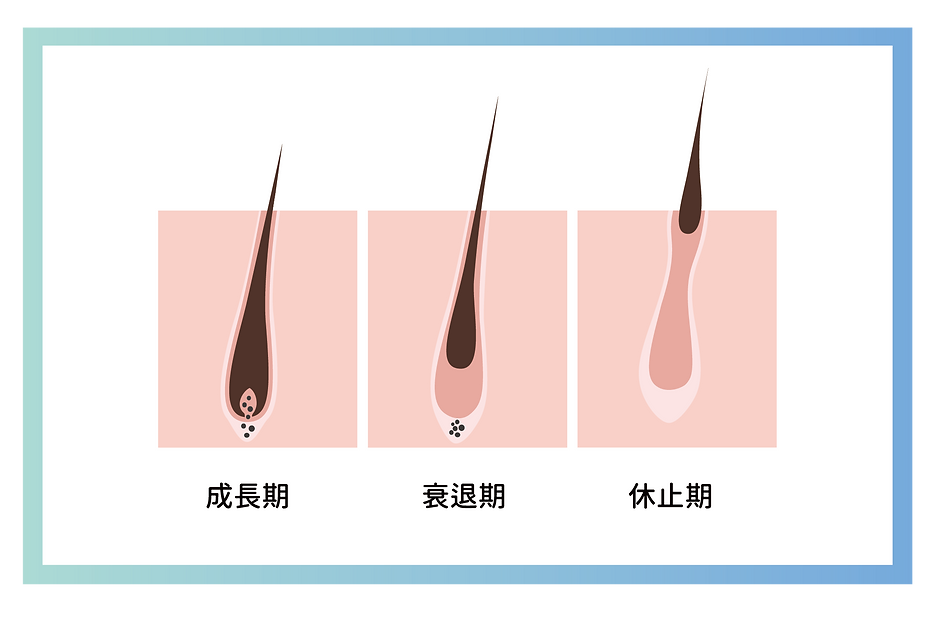 雷射 除毛 彰化 醫美 診所 中部 推薦 整形外科 整外 整形 外科