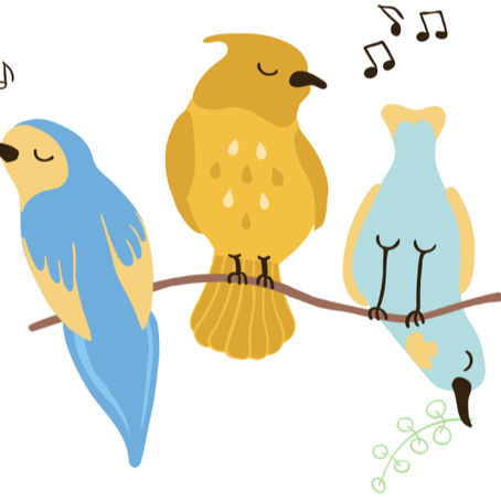 Expressions of Interest open - community singing group Term 3 (July) 