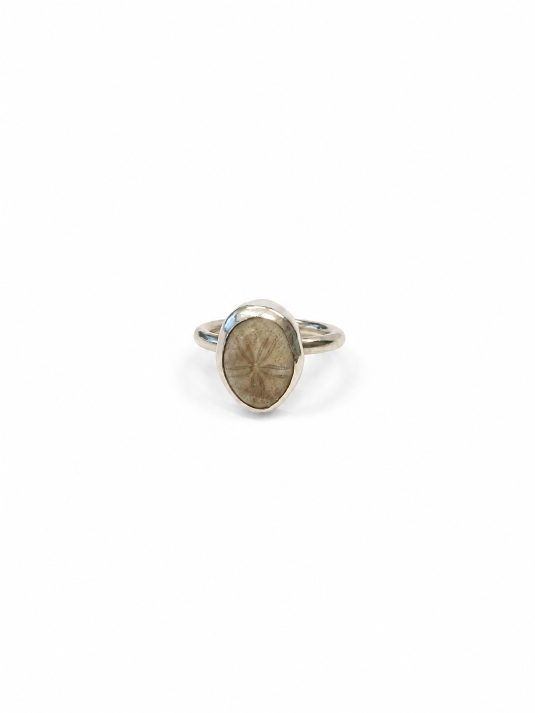 White Sand Dollar Sterling Silver Ring