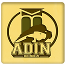 ADIN .png