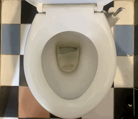loo3.gif