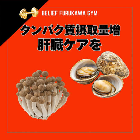 ✨肝臓を元気にするアミノ酸「オルニチン」