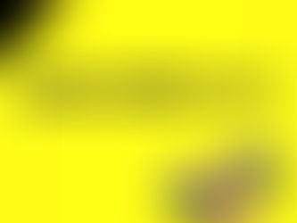 減量期と増量期を分ける