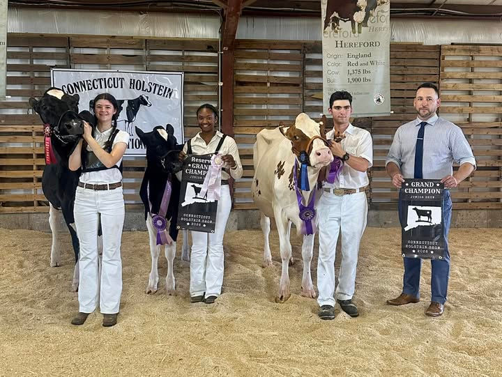 2026 CT Grand Champion Junior Show