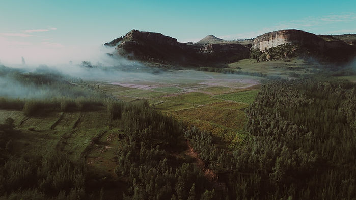 DJI_0308.JPG