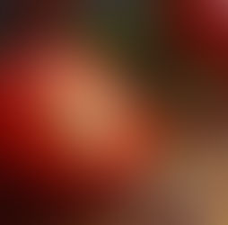 India's Tomato Seeds: We're Not Pretty, but We're Productive