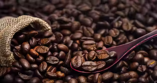 India's Coffee is Rising: Are You Ready to Source the Next Superpower Bean?