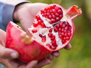 Why Indian Pomegranates Are the Next Big Superfood – And How You Can Profit From It